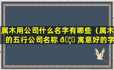 属木用公司什么名字有哪些（属木的五行公司名称 🦆 寓意好的字）